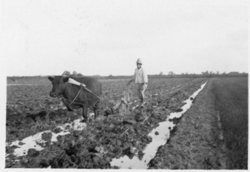 img066-Ploughing